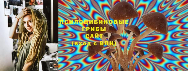 индика Абинск